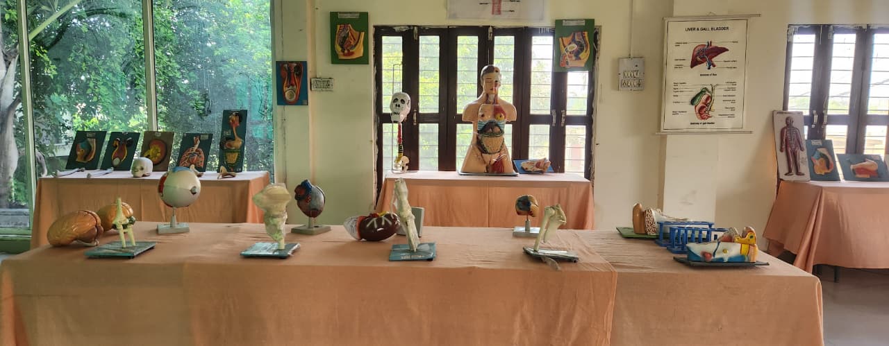 Keshav Madhav Institute of Nursing